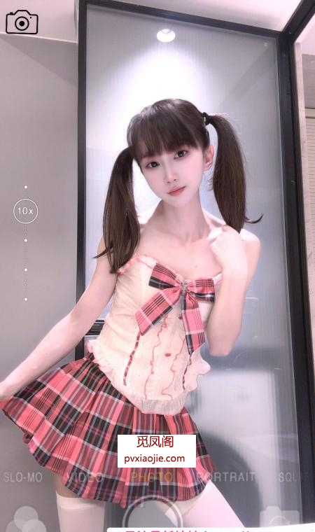 市北区小奶猫