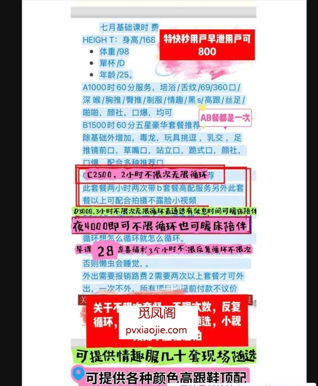 双井D胸性感月月